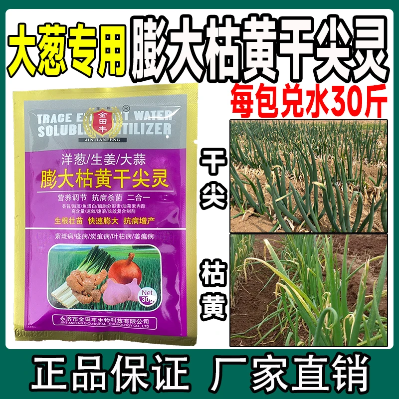葱姜蒜菌净生根壮苗长效抗病炭疽疫病营养增产复合叶面肥