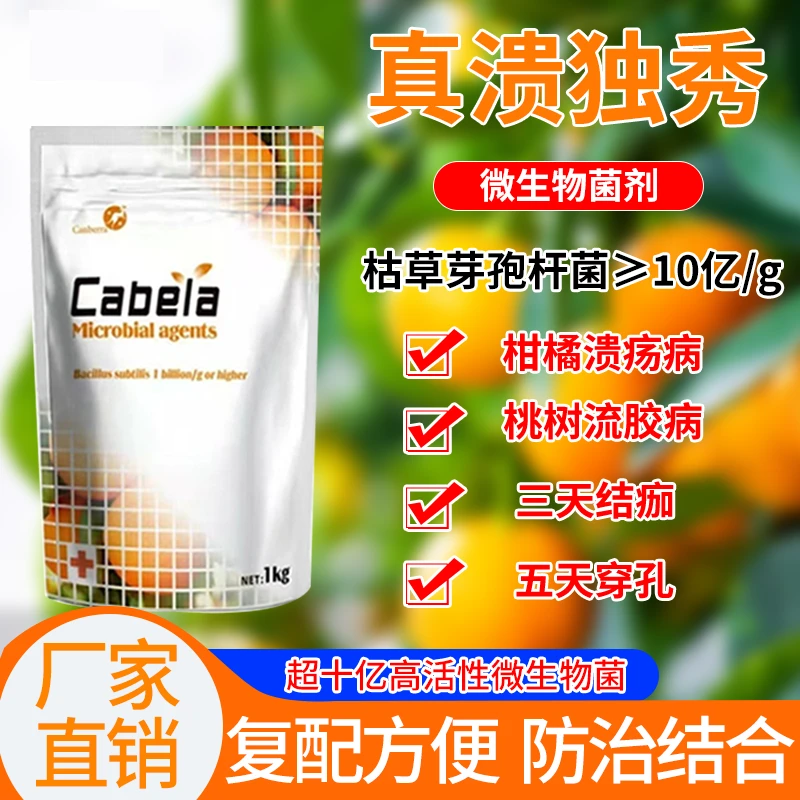 真溃独秀专业防治柑橘溃疡病促进生长有益微生物菌剂农业粉剂病害