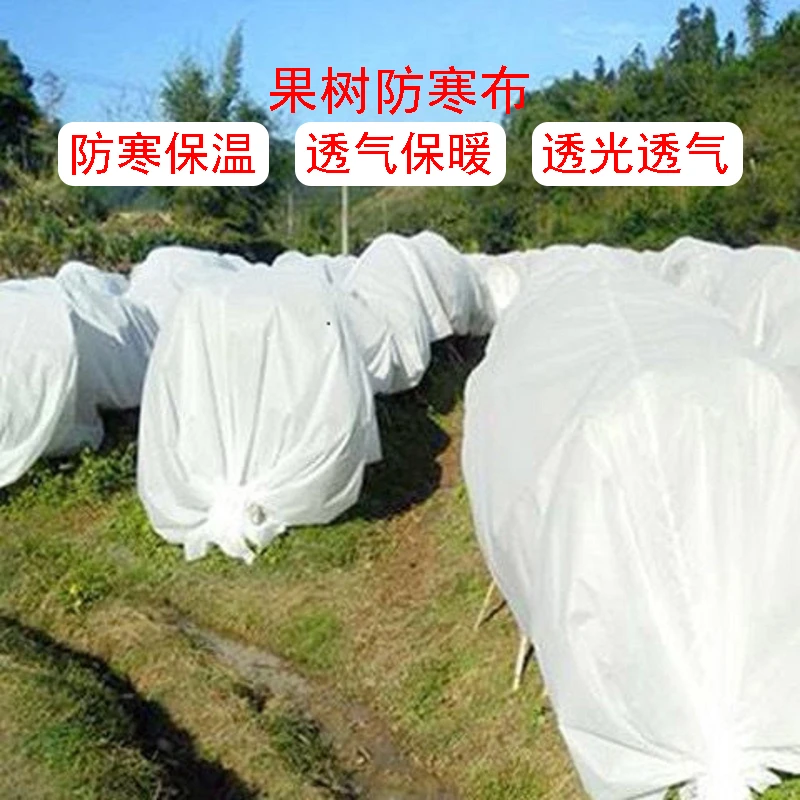 柑橘果园果树防寒布保温膜防水透气防冻农用无纺布