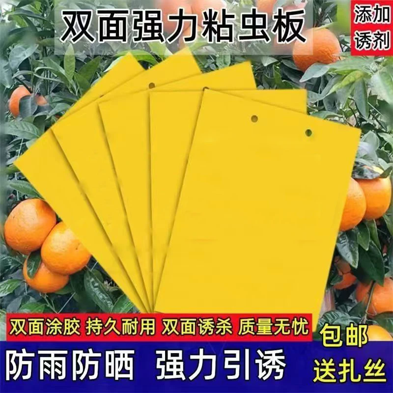 柑橘瓜果实蝇针蜂黄板双面粘虫板果园大棚胶粘板蓟马篮板引诱虫板