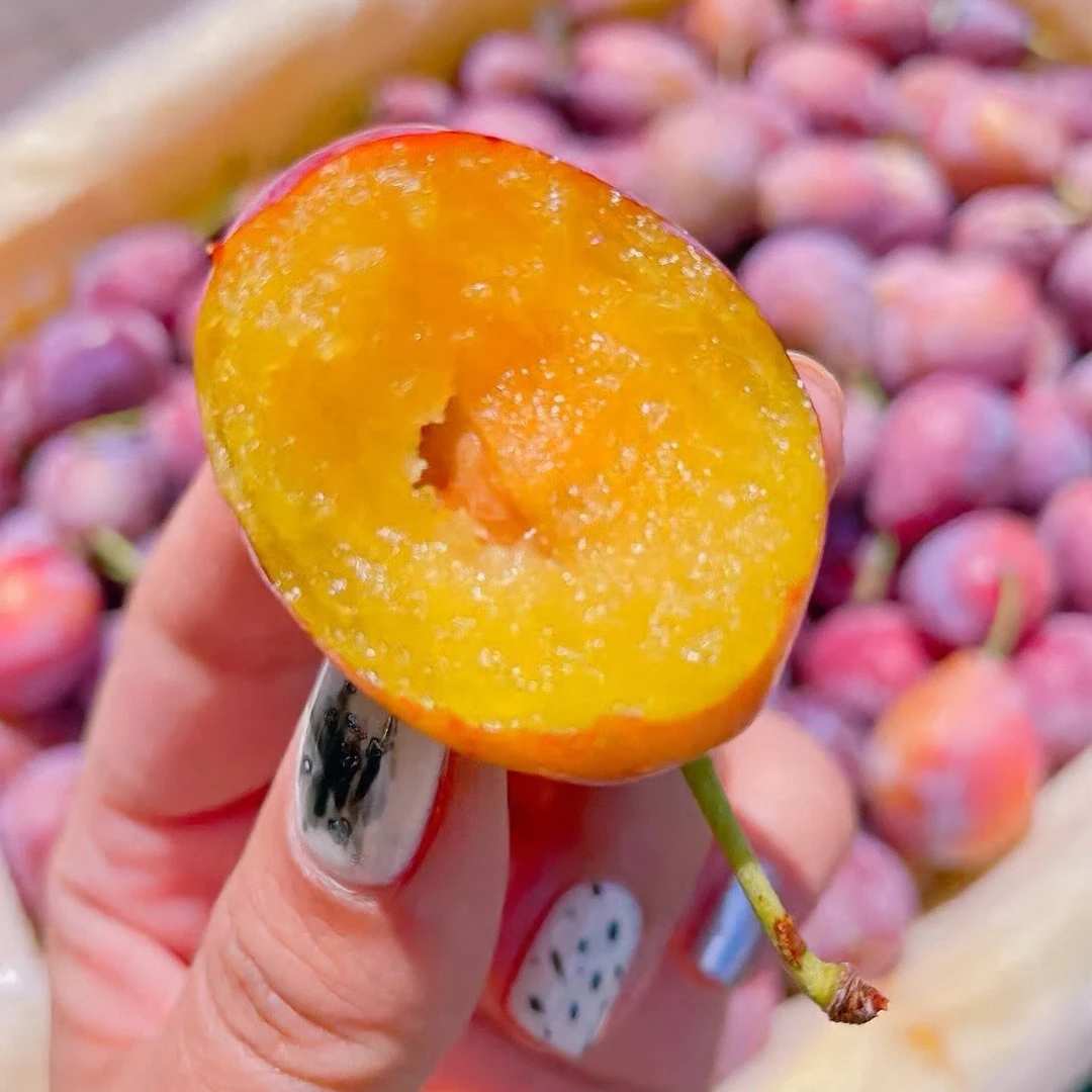 【拍2斤送2斤】新疆新鲜采摘阿克苏西梅