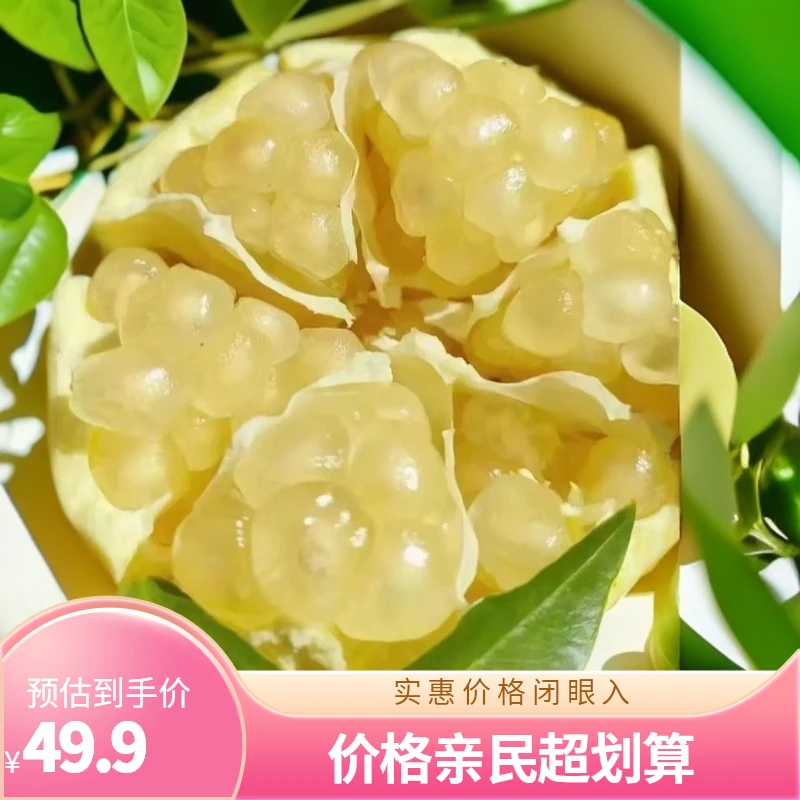 怀远石榴白花玉石籽大果6两左右，净重九斤装坏果包赔 江浙沪包邮