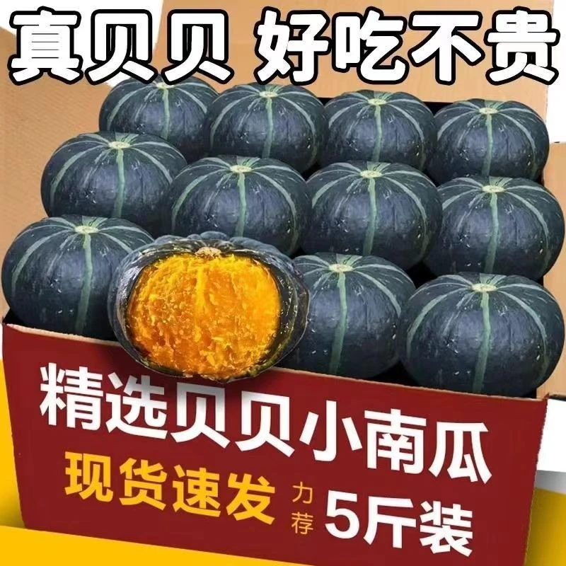 正宗【爆粉贝贝南瓜】板栗味老南瓜粉糯香甜孕宝辅食新鲜果蔬自然