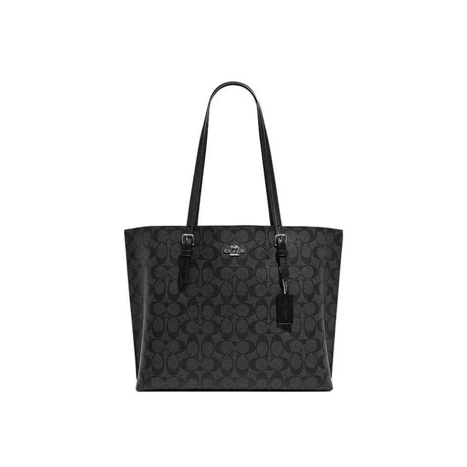 全新未使用 COACH/蔻驰 Mollie 34 满印拉链托特包/20091/姐妹花