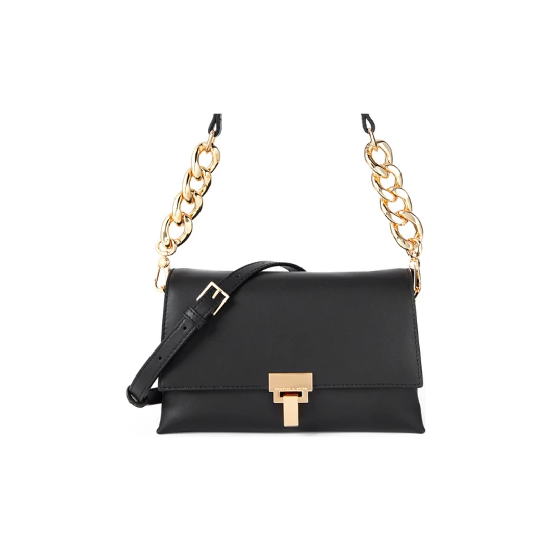 全新未使用 CHARLES & KEITH 黑色单肩包/30099/姐妹花