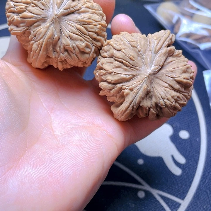 文玩核桃吊坠华坤龙一对