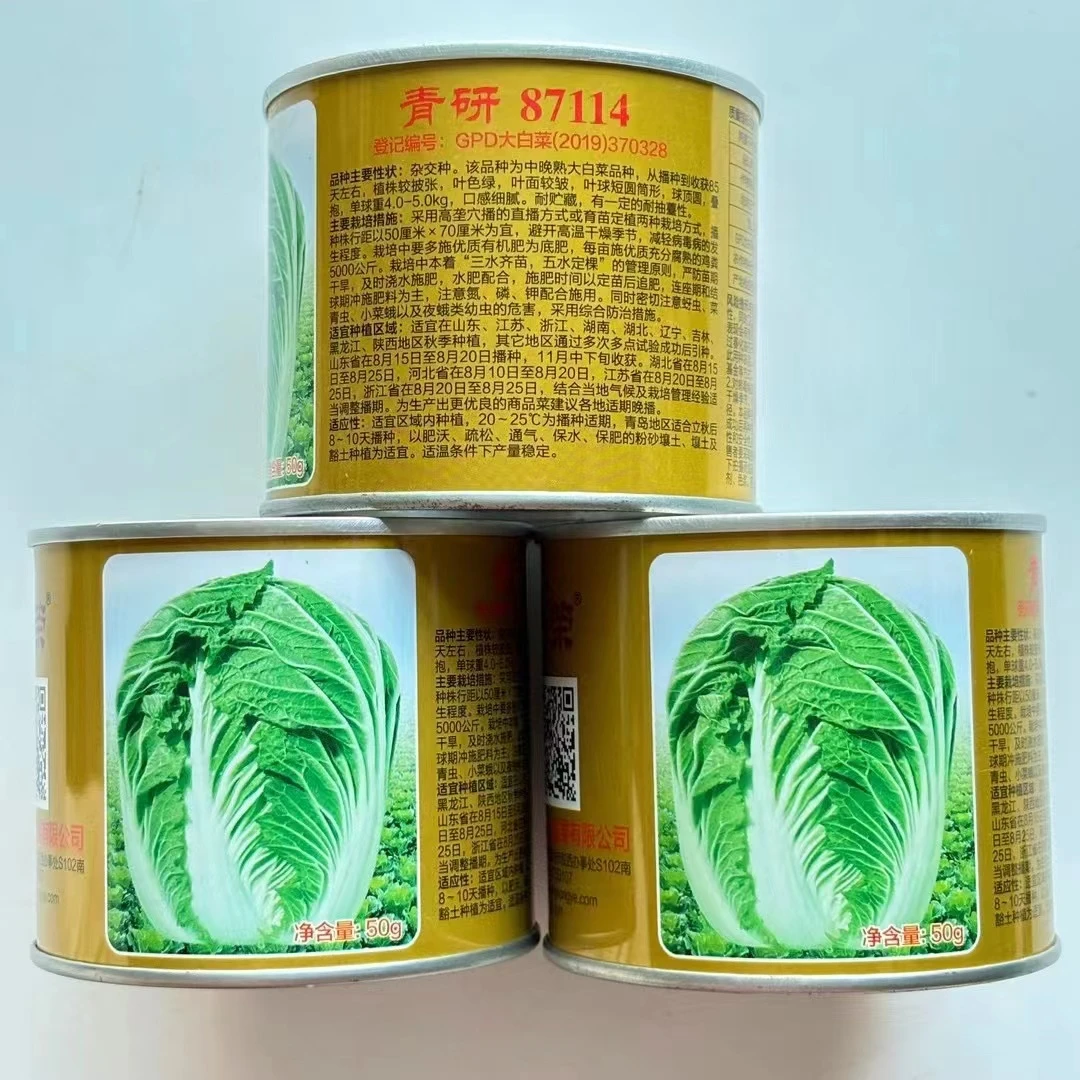 罐装高端大白菜种子娃娃菜种子品质大田专用芽率高夏秋冬耐寒耐热
