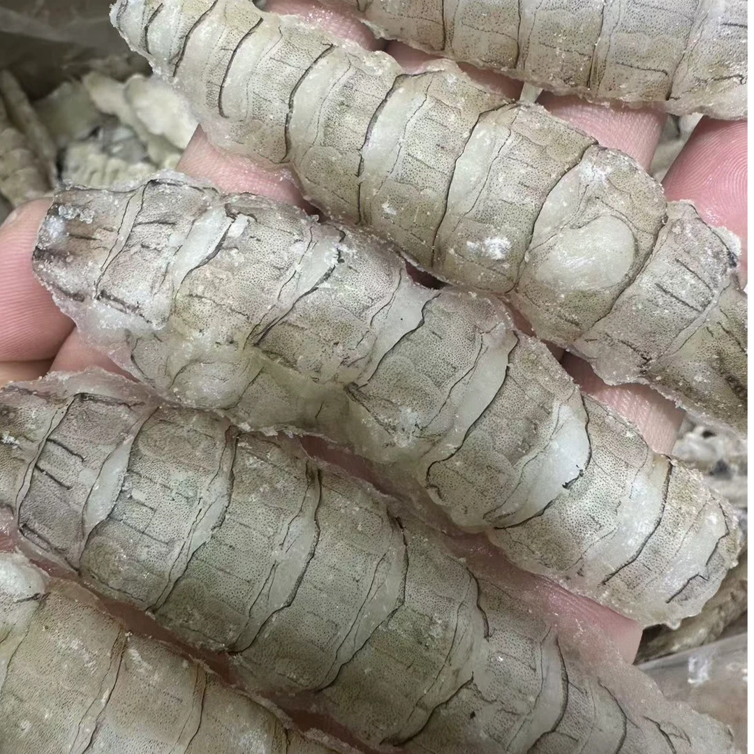 本地渤海湾生冻（皮皮虾肉） 3斤起 顺丰快递发货