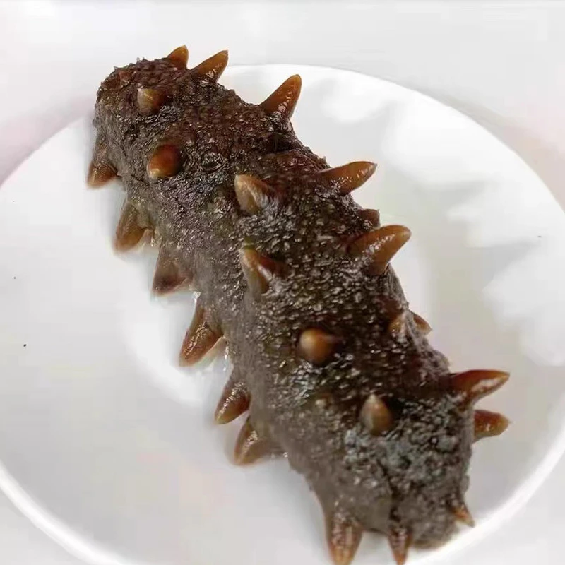 仅166/斤 3斤装6A鲜食海参 开袋就能吃 10-15头/斤 【直播专享】