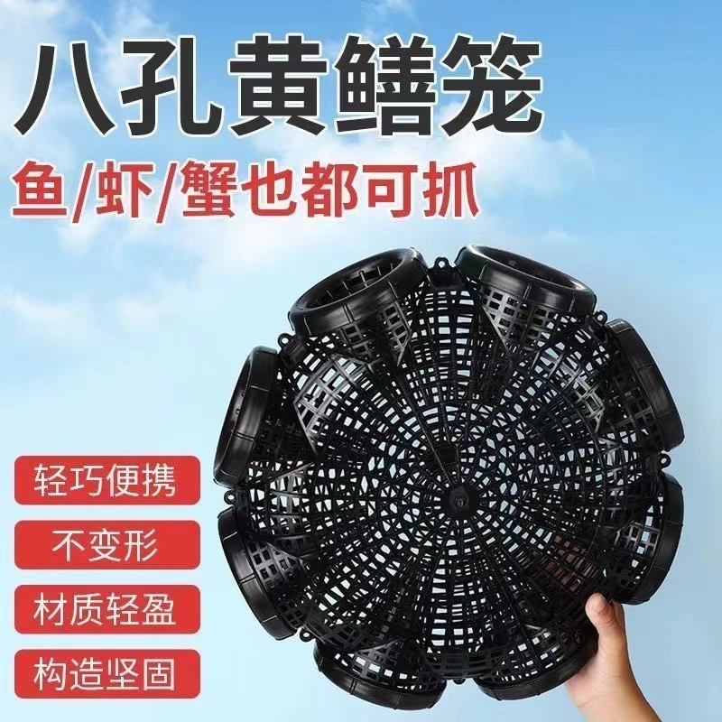齐诺 户外新款加强黄鳝鱼笼沉底八孔鳝鱼笼泥鳅笼黄鳝笼