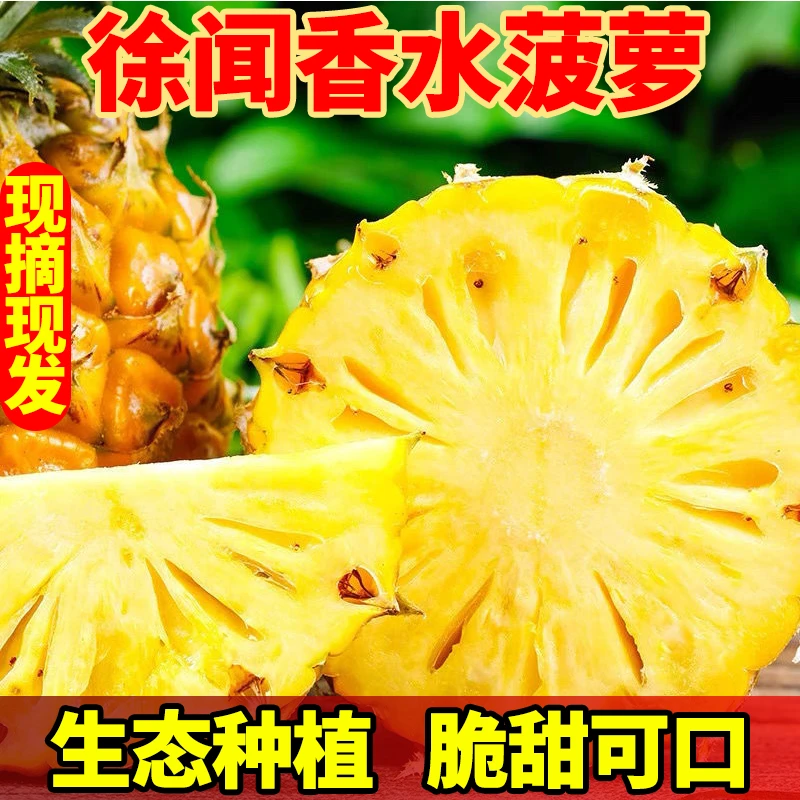 徐闻菠萝香水菠萝脆甜新鲜水果大个菠萝非金钻凤梨菠萝爆甜