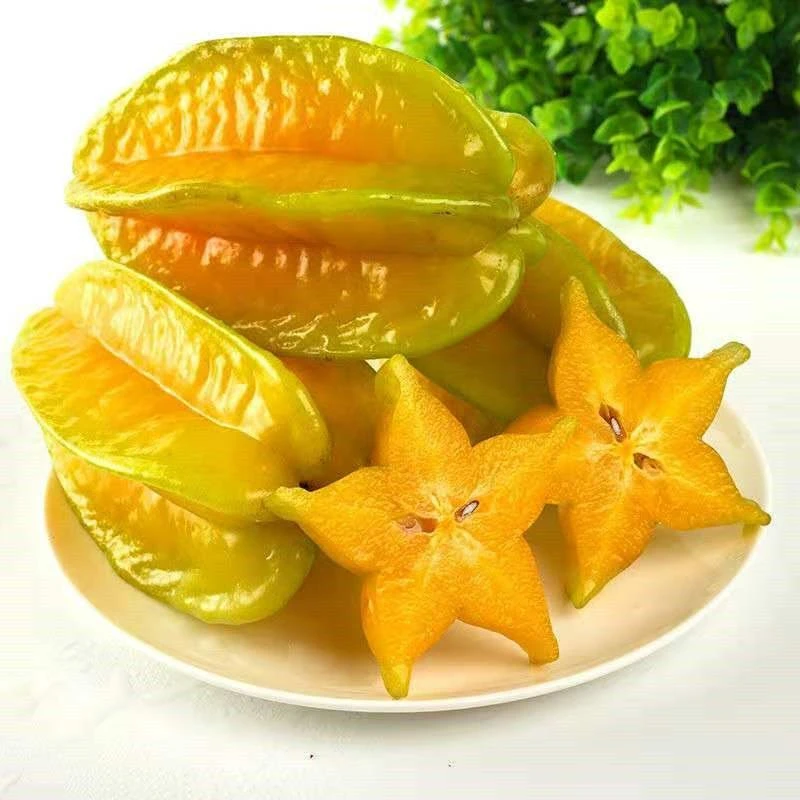新鲜杨桃降火水果甜杨桃当季杨桃大果杨桃