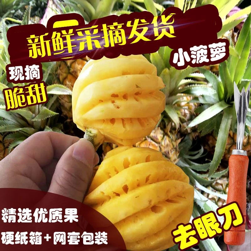 香水小菠萝新鲜水果徐闻小菠萝香甜10/8/5带皮发货非去皮