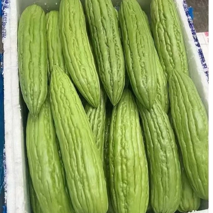 《同城闪送》苦瓜 1斤