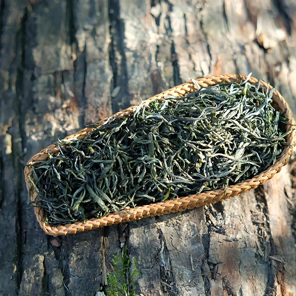 送礼2024春茶紫阳翠峰高香耐泡烘青250g袋装茶干翠绿