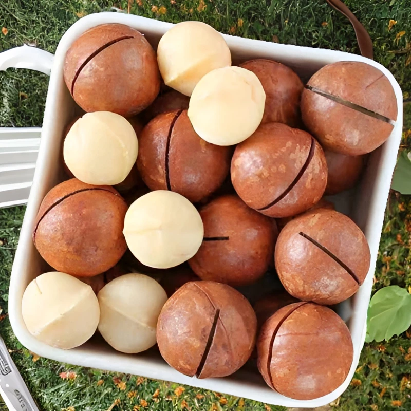 夏威夷果新货奶香味大颗粒源头好味香脆饱满500g坚果干果零食10g