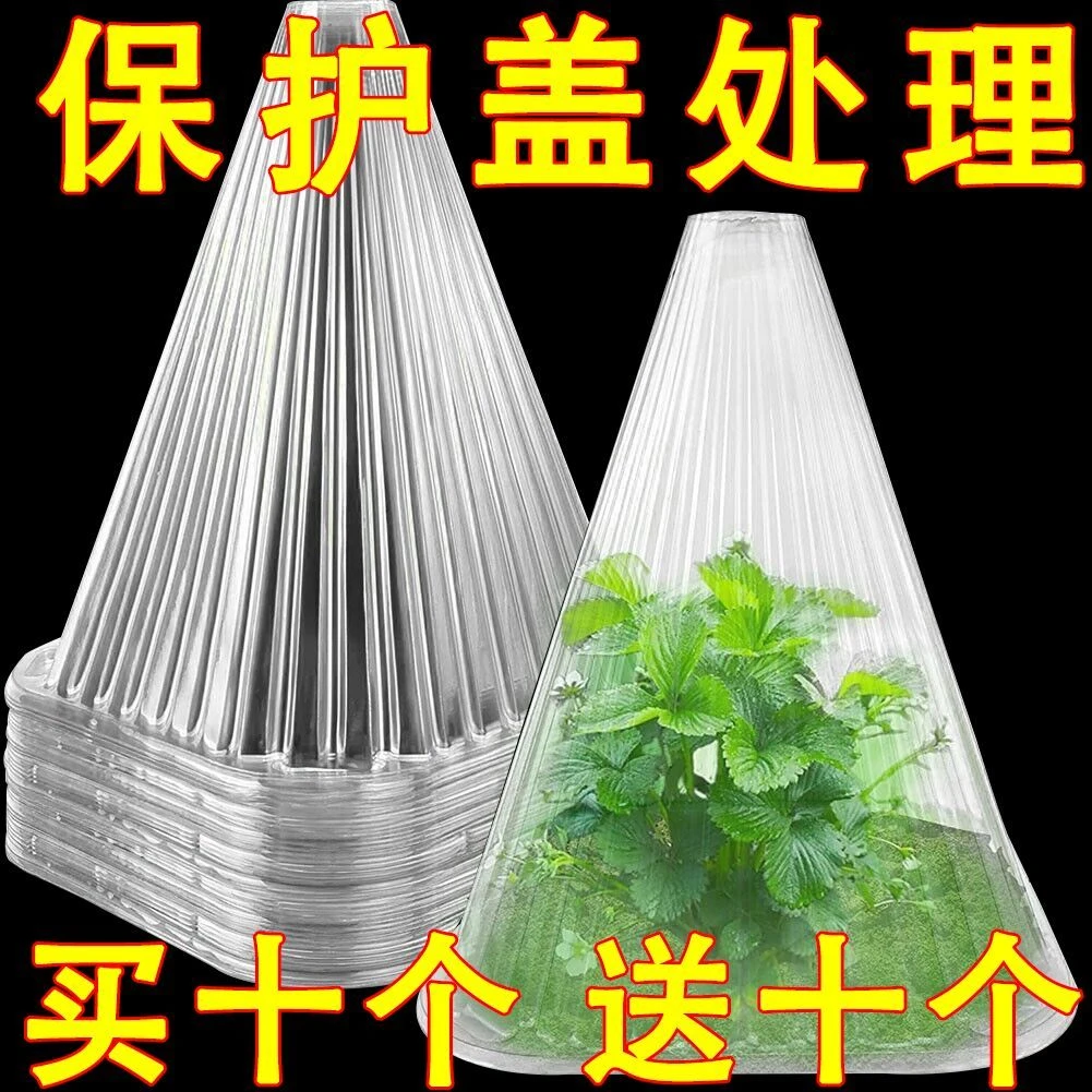 温室重复使用重复方形植物钟罩大棚免受鸟类霜冻伤害育苗保护绿色