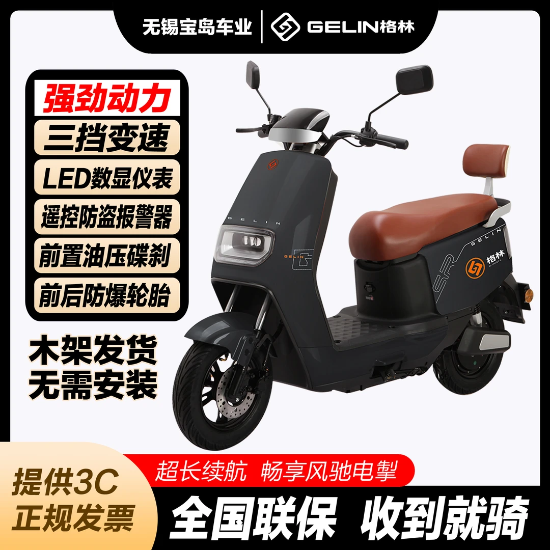 电动车长续航男女通用时尚爆款可爬坡通勤日常代步HD