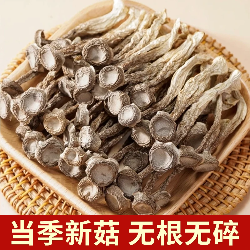 【小莉推荐】精选当季 新鲜 鹿茸菇 脆嫩爽口爆炒均可老少皆宜