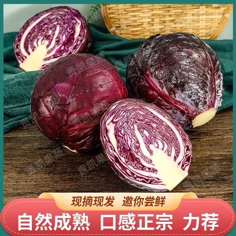 新鲜紫甘蓝现发脆嫩甘蓝凉拌沙拉4.5斤顺丰包邮鲜嫩食用水果