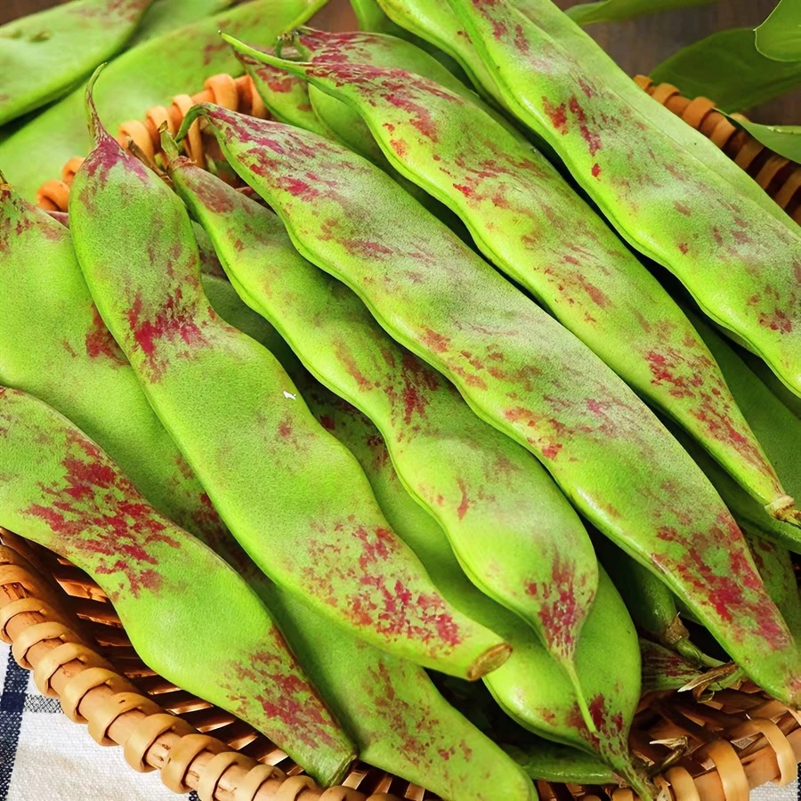 顺丰包邮一点红油豆角新鲜现摘现发肉厚无丝3-5斤包邮