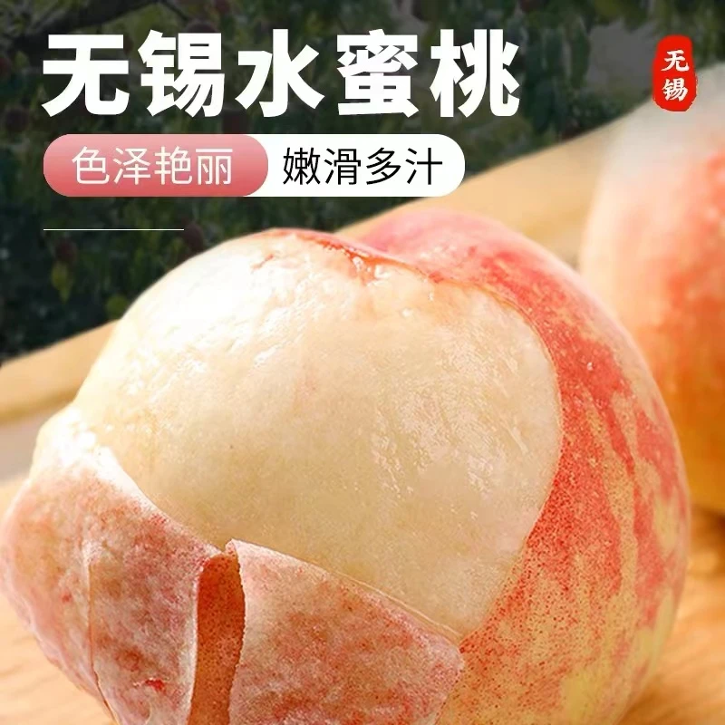 2箱更划算【4-5两无锡水蜜桃】应季新鲜香甜爆汁皮薄肉厚水果软桃