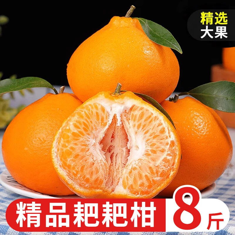 李享食丰四川春见耙耙柑新鲜橘子桔子粑粑柑橘水果时令应季不知火