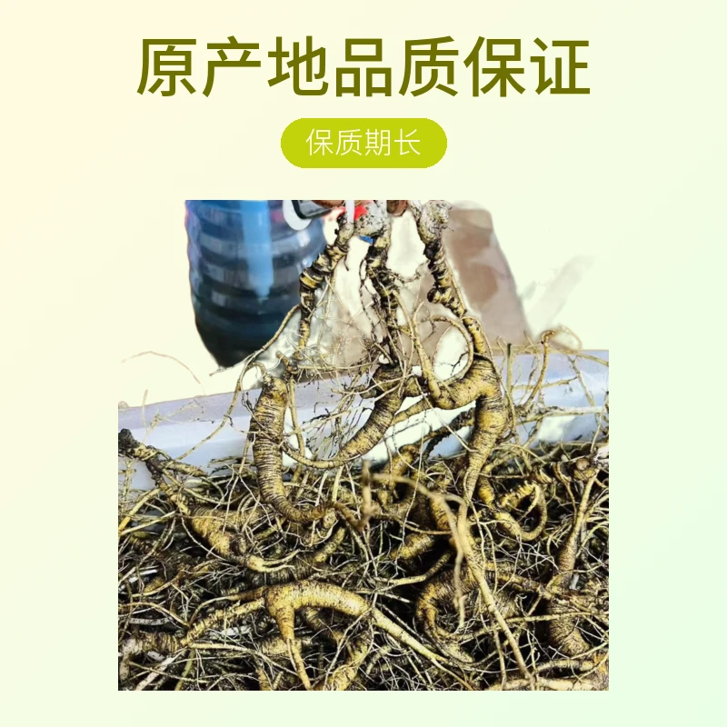 长白山林下鲜参直播改价 一物一拍泡酒煲汤