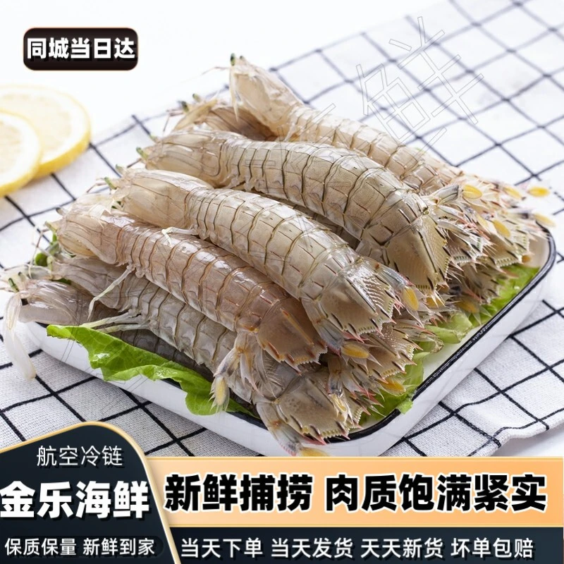 【皮皮虾】天津本地皮皮虾 精品皮皮虾发货不保活介意勿拍