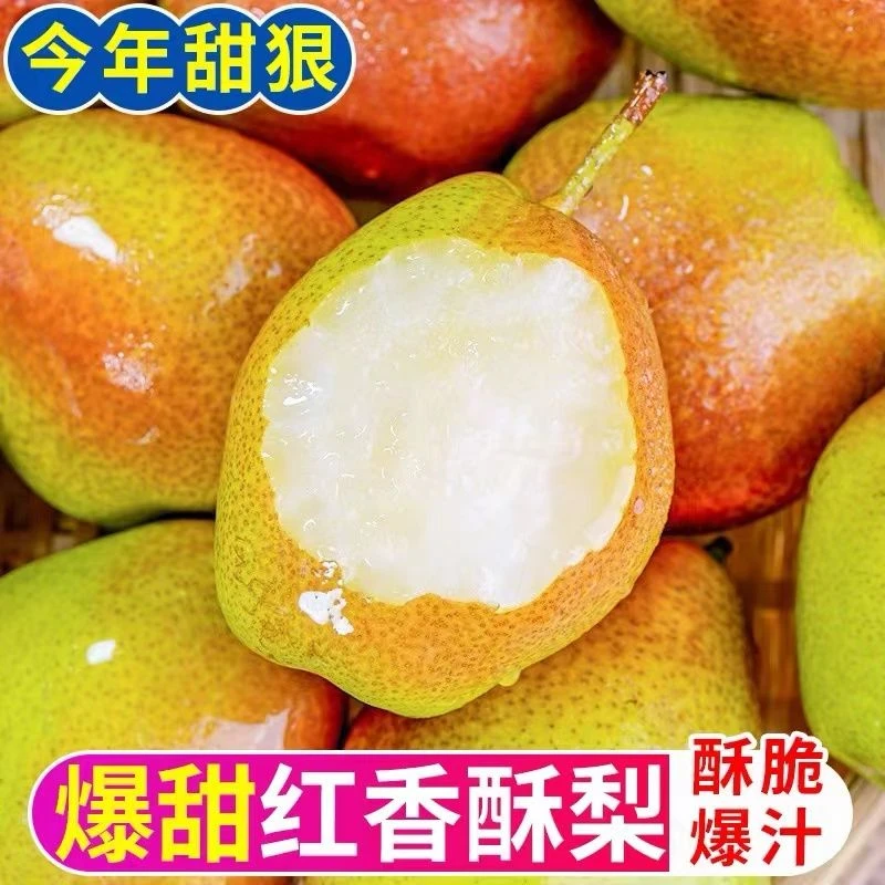 源自新疆香梨新鲜水果10/5/3斤装整箱梨子精选红香酥梨