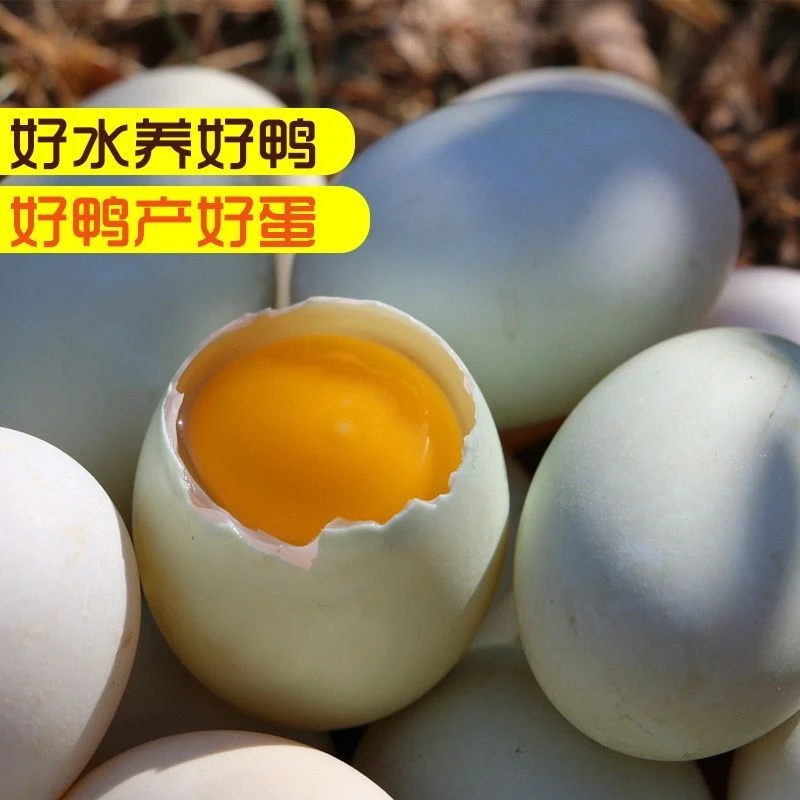 正宗散养土鸭蛋新鲜鸭蛋湖区湖里放养鲜鸭蛋笨鸭蛋整箱优质原生态