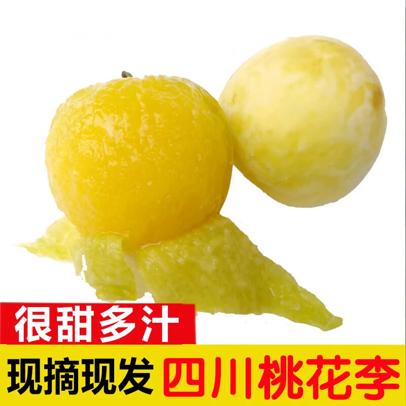 四川桃花李 当季新鲜水果 新鲜采摘发出 蜂糖李冰糖甜黄奈李 1斤