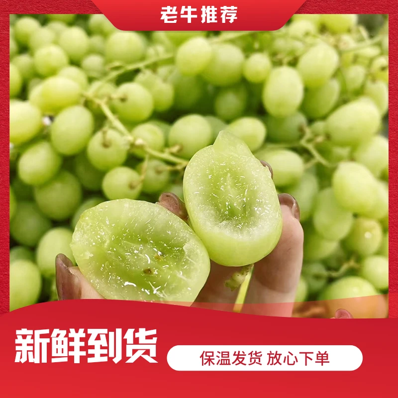 【掉粒不售后】甜地球青提 皮薄无核 1件净3左右斤 快递包邮