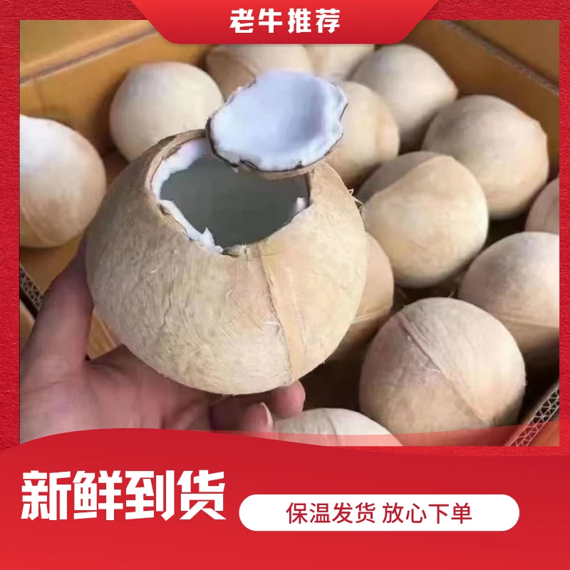 【老牛专属】椰皇巨无霸1件5颗 原包24颗单果1.5斤拆包 快递包邮