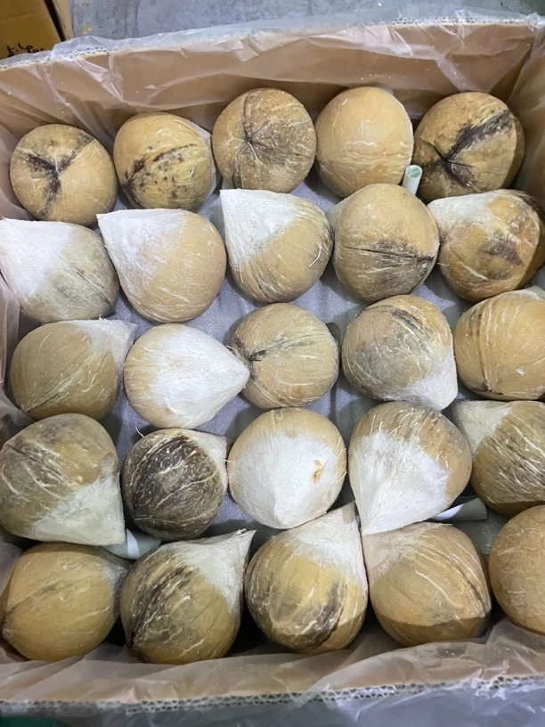 【老牛专属】老树椰皇1件7颗 约5斤快递包邮