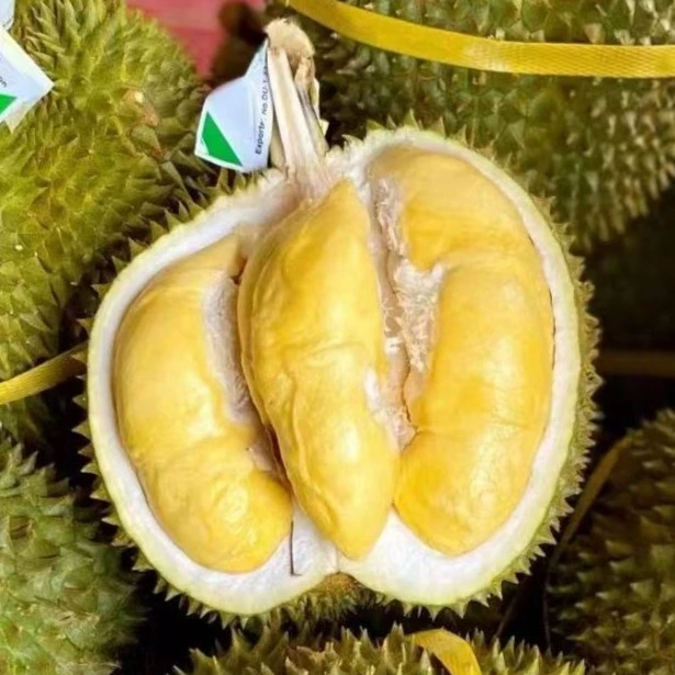 泰国空运树熟金枕榴莲（黑马）果肉现开现剥
