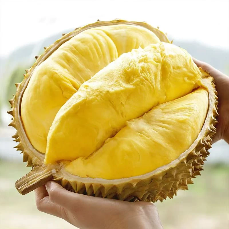 大庆同城水果小时达新鲜泰国A级金枕榴莲(保40%出肉)