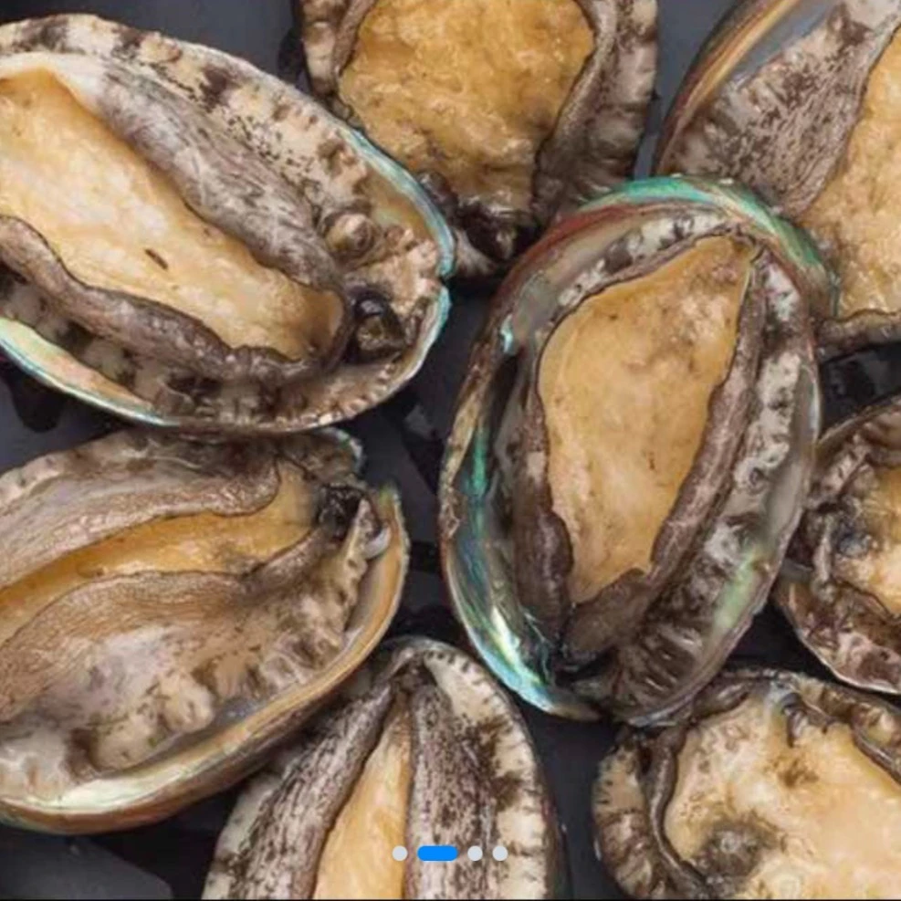 德玲海鲜-小鲍鱼1只