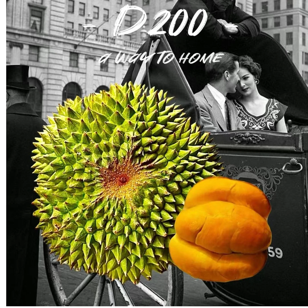 【D200黑刺】当季整果