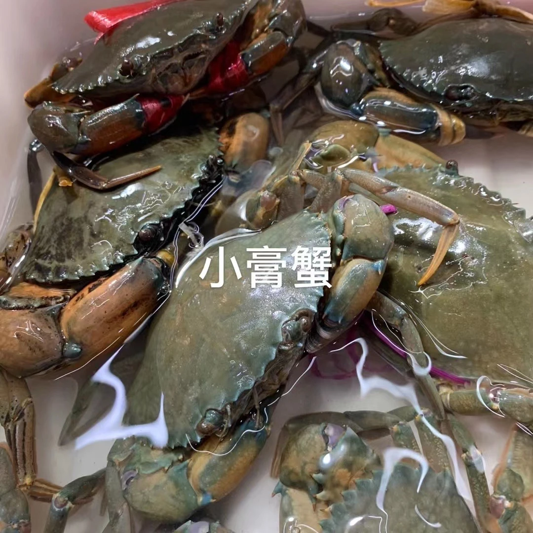 德玲海鲜-小膏蟹1只【默认处理】蟹同城配送