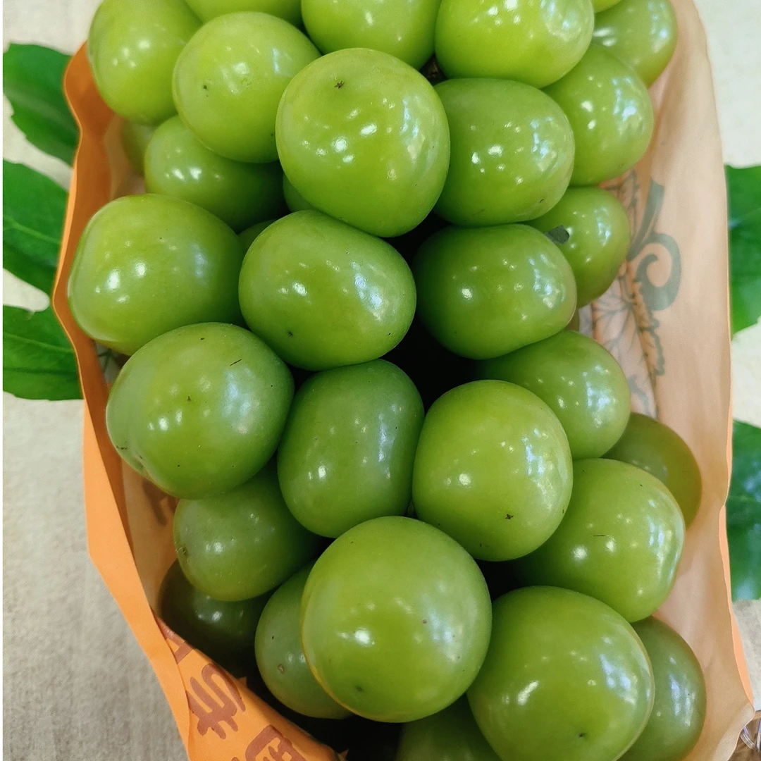 特级阳光玫瑰 跪甜可口 果香四溢（约1kg）