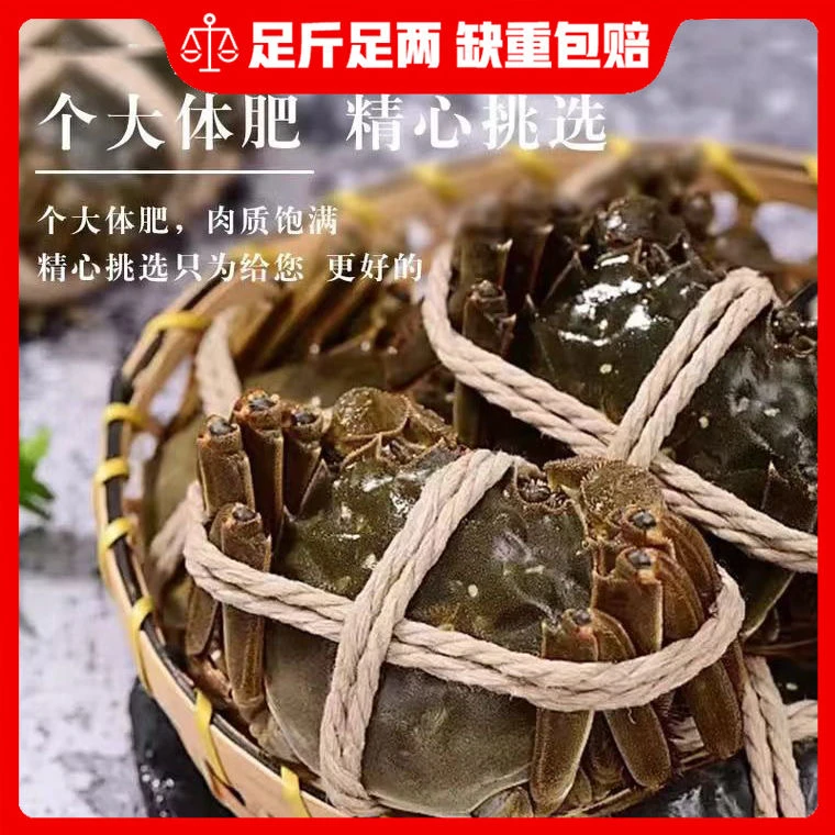 【河蟹】活蟹保活到家（公蟹单只约2.5到2.2两左右）一斤约4-5只