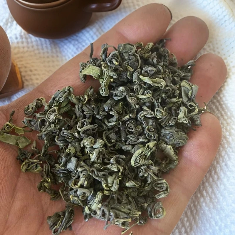 菀豆香海青茶菀豆香北方绿茶山东青岛六月底曲豪绿茶