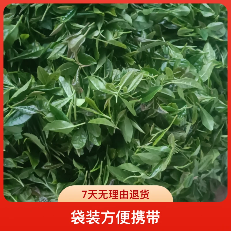 菀豆香九月上旬海青茶菀豆香碧螺春回味耐冲泡袋装品牌甘甜