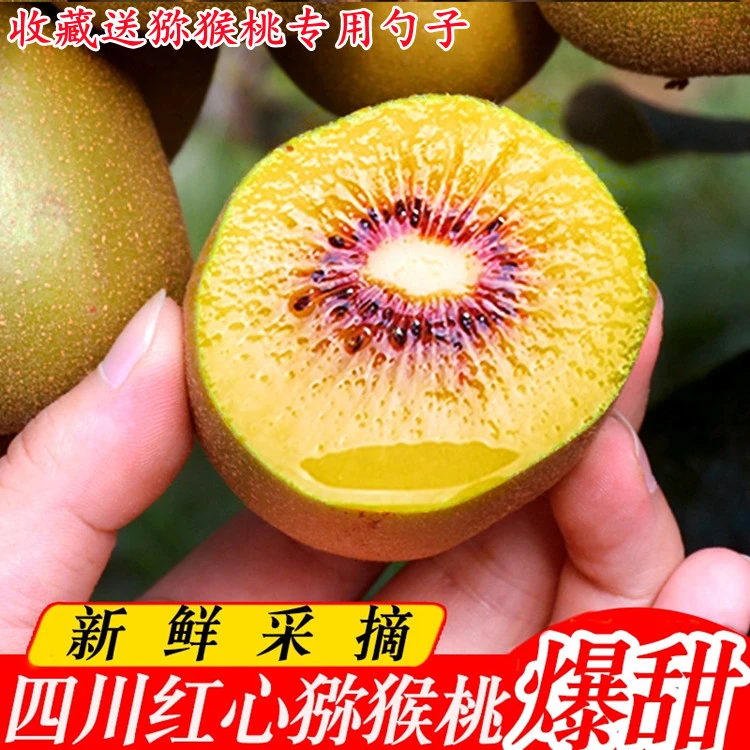 【果农直发】四川红心猕猴桃奇异果 软糯香甜好吃水果 果园自然成熟