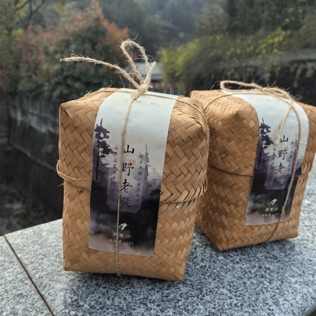 高家山安化黑茶山野老枞2015六步溪雾寒村野生老树天尖分装250g