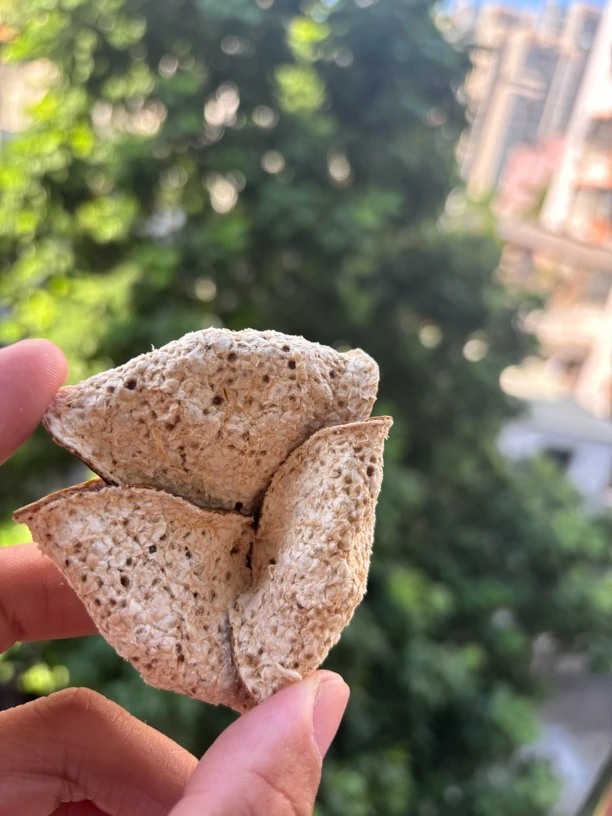 2023年新会天马陈皮折花圈枝大红皮 收藏 送礼佳品