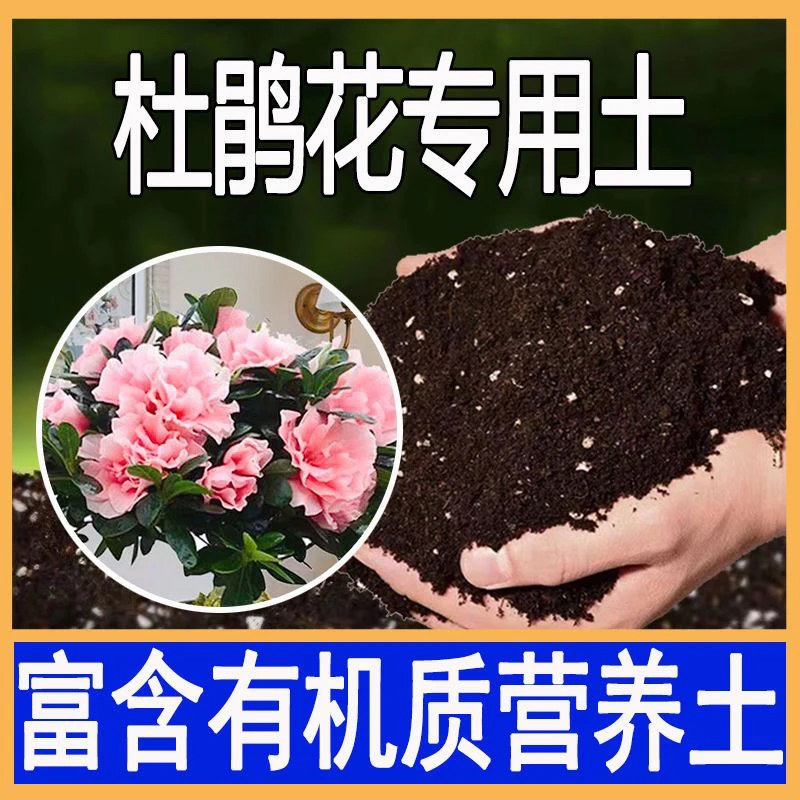杜鹃花土专用土酸性营养土家用种花椰糠泥炭土透气通用有机土肥料