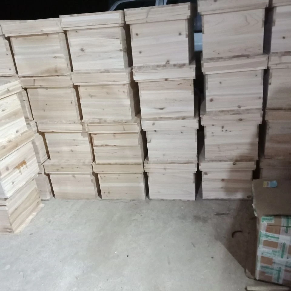 蜂箱中蜂箱蜜蜂箱七框蜂箱杉木蜂箱养蜂工具null