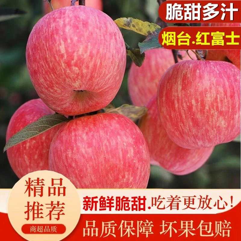 包邮LZ【烟台栖霞红富士苹果】新鲜水果酥脆香甜多汁带箱9.5-10斤